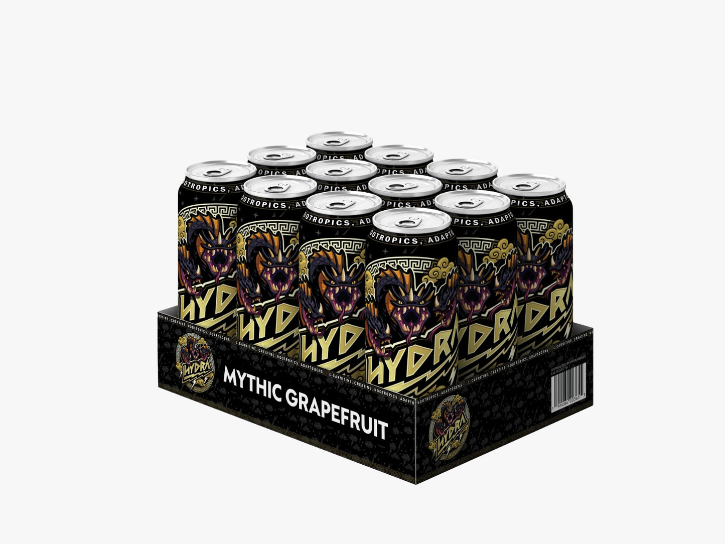 12 pack of 16oz cans